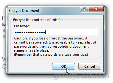 Zaščita z geslom in šifriranje dokumentov Office 2013: Vnesite geslo
