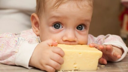 Izbor sira za dojenčke