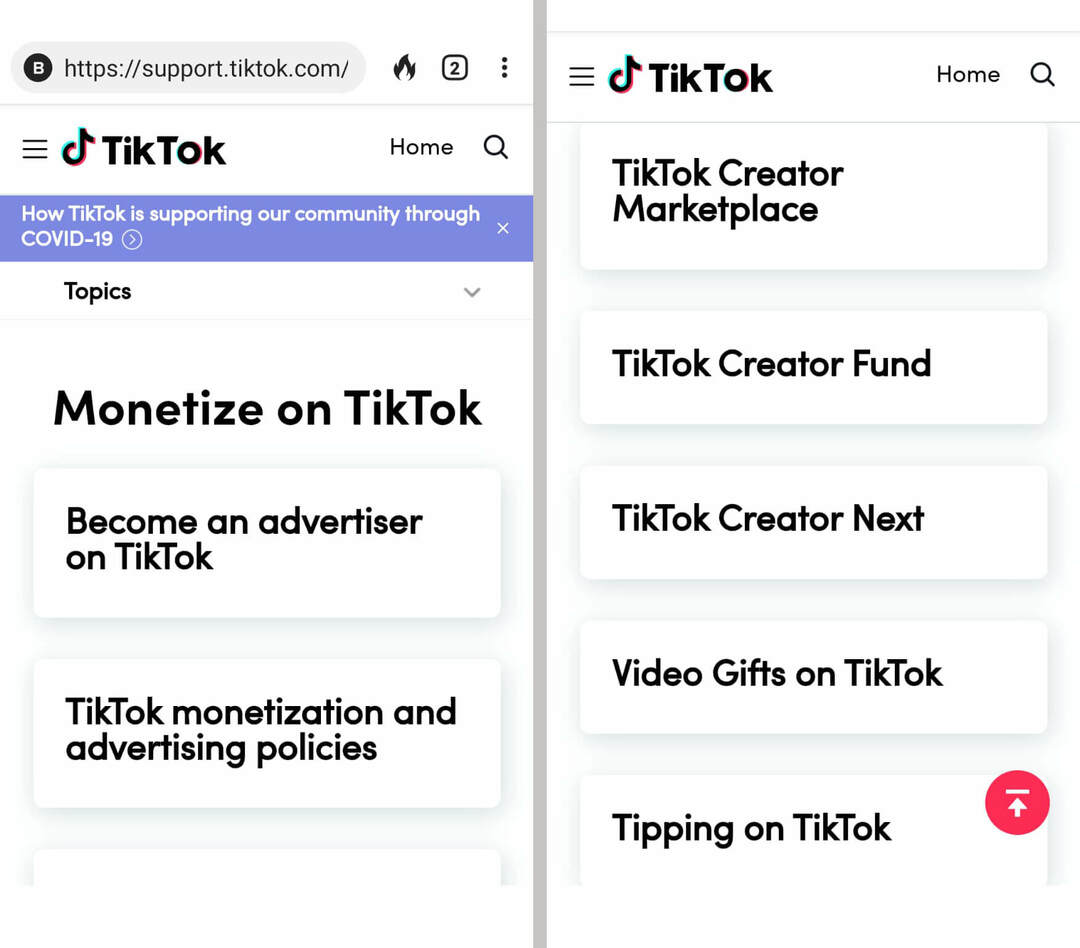 how-to-develop-a-tiktok-video-content-strategy-what-is-your-goal-monetization-advertising-creator-fund-video-gifts-tipping-example-2