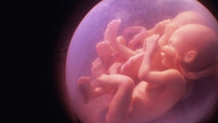 Če bodo v družini dvojčki, se bo možnost za nosečnost dvojčkov povečala ali bo generacija poskočila? Od koga je odvisna dvojna nosečnost?