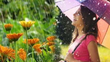 Ali je aprilski dež zdravil? Katere molitve je treba prebrati v deževnico? Koristi aprilskega dežja