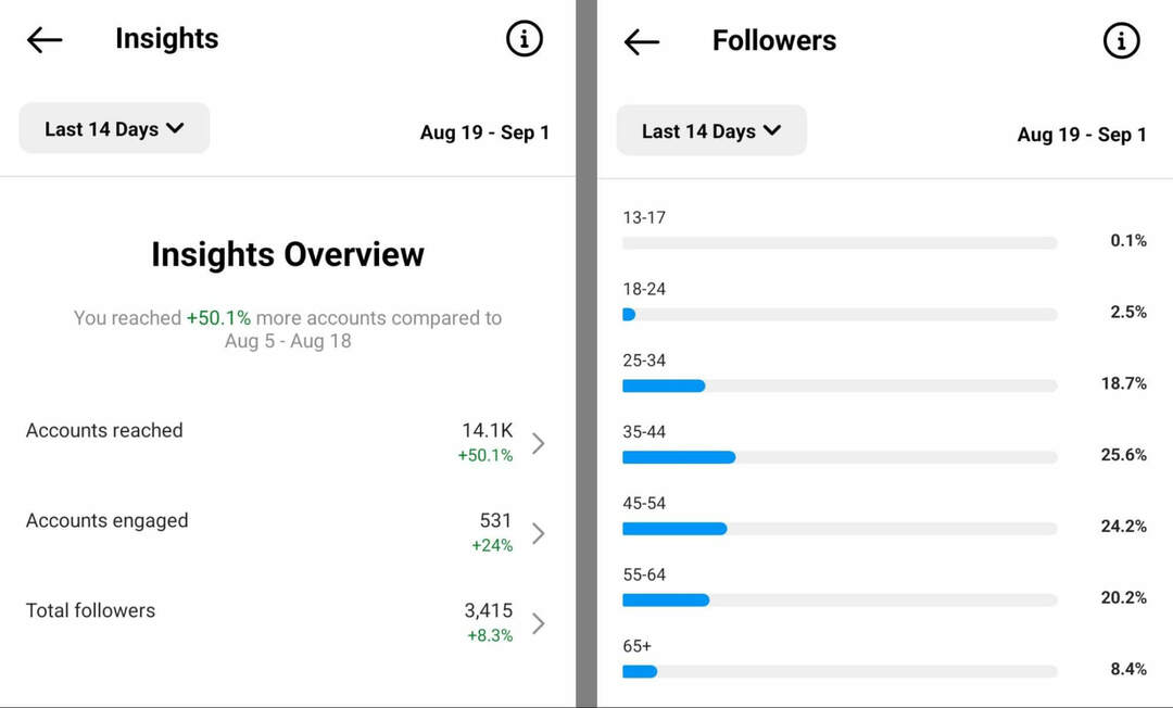 how-to-check-audience-insights-on-instagram-app-view-followers-example-3