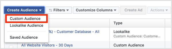 Nadzorna plošča za ciljne skupine Facebook Ads Manager ustvari ciljno skupino po meri