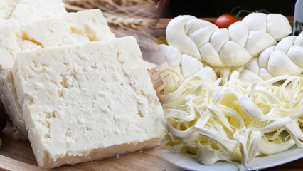 Kako razumeti dober sir? Nasveti za izbiro sira