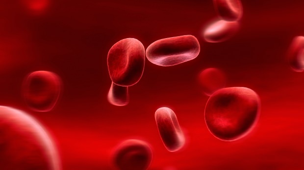 Kaj je dieta krvnih skupin? Kako je to storjeno?
