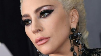 Svetovno znana Lady Gaga postane distributer pice