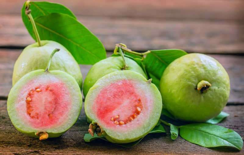 Vsebuje močne antioksidante, kot je paradižnik guavan
