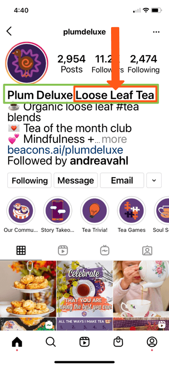 primer instagram profila za @splumdeluxe, ki prikazuje ključne besede "slive deluxe" in "čaj iz ohlapnih listov" v biografiji svoje strani, kar jim omogoča, da se dobro prikažejo v rezultatih iskanja