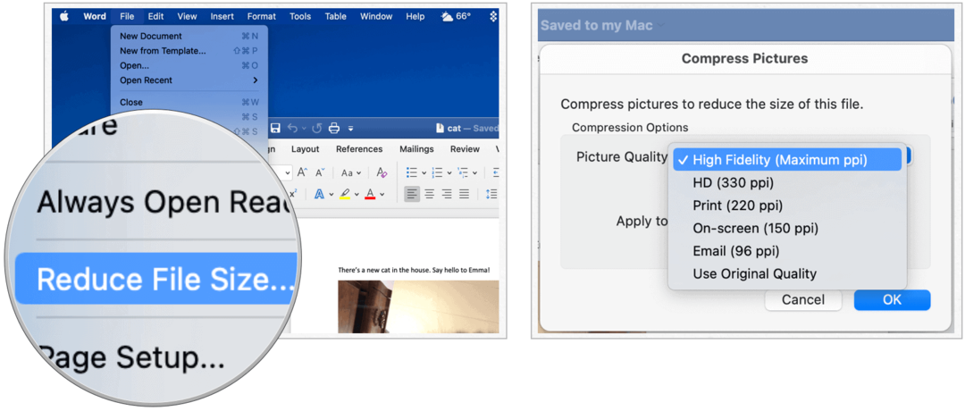 Microsoft Word na Mac zmanjša velikost datoteke