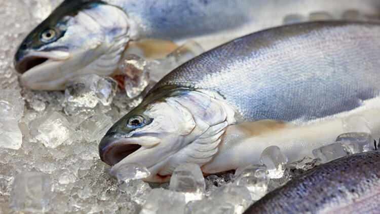 Ali se okus rib, vrženih v zamrzovalnik, spremeni?