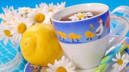 Priporočilo zeliščnega čaja Saraçoğlu med nosečnostjo! Ali je nosečnicam škodljivo piti zeliščni čaj?