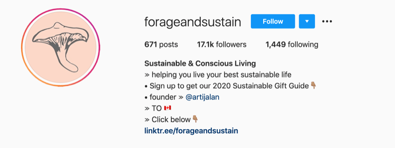 primer profila instagram od @forageandsustain z opombo v njihovih informacijah o profilu, da kliknete bio povezavo za več