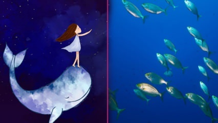 Kaj pomeni videti ribe v sanjah? Po mnenju Diyaneta pomen ribolova v sanjah ...