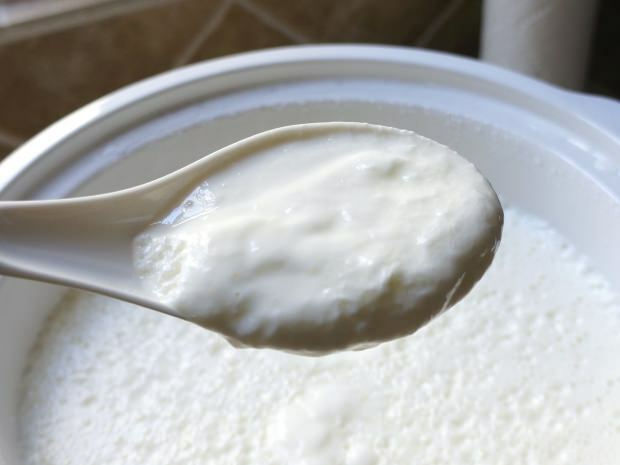 najlažji recept za jogurt