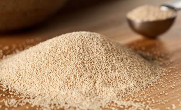 Kakšna mora biti najbolj praktična uporaba suhega kvasa? Je suh ali kvas?