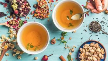 Kateri zeliščni čaji najhitreje kurijo maščobe? 7 najučinkovitejših zeliščnih čajev za kurjenje maščob! 