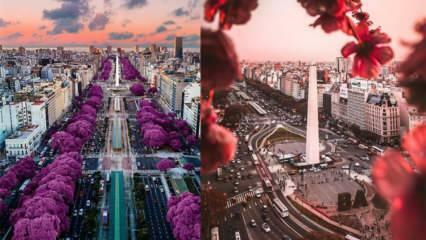 Mesto lepega vremena: kraji za obisk v Buenos Airesu!