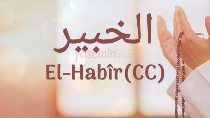 Kaj pomeni al-Habir (c.c)? Kakšne so vrline imena Al-Habir? Esmaul Husna Al-Habir...