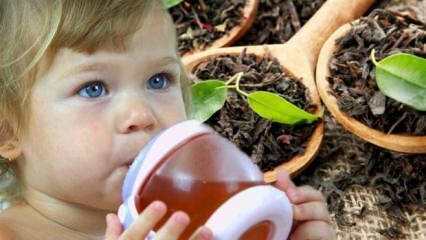 Ali lahko dojenčki pijejo čaj?
