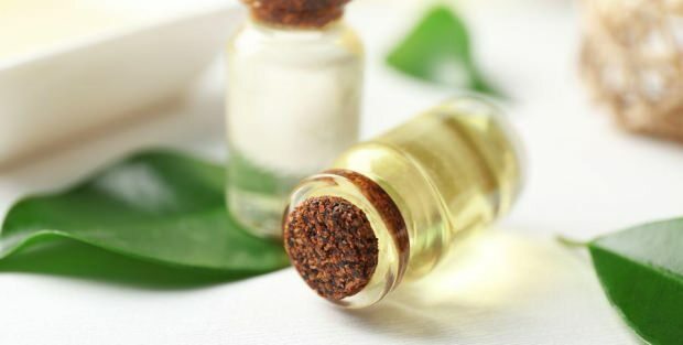 Kakšne so prednosti olja iz kreme čajevca za kožo? Priporočila za uporabo olj iz čajevca