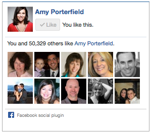 amy porterfield facebook kot škatla