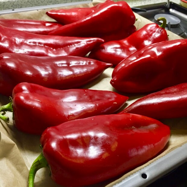 prednosti rdeče paprike