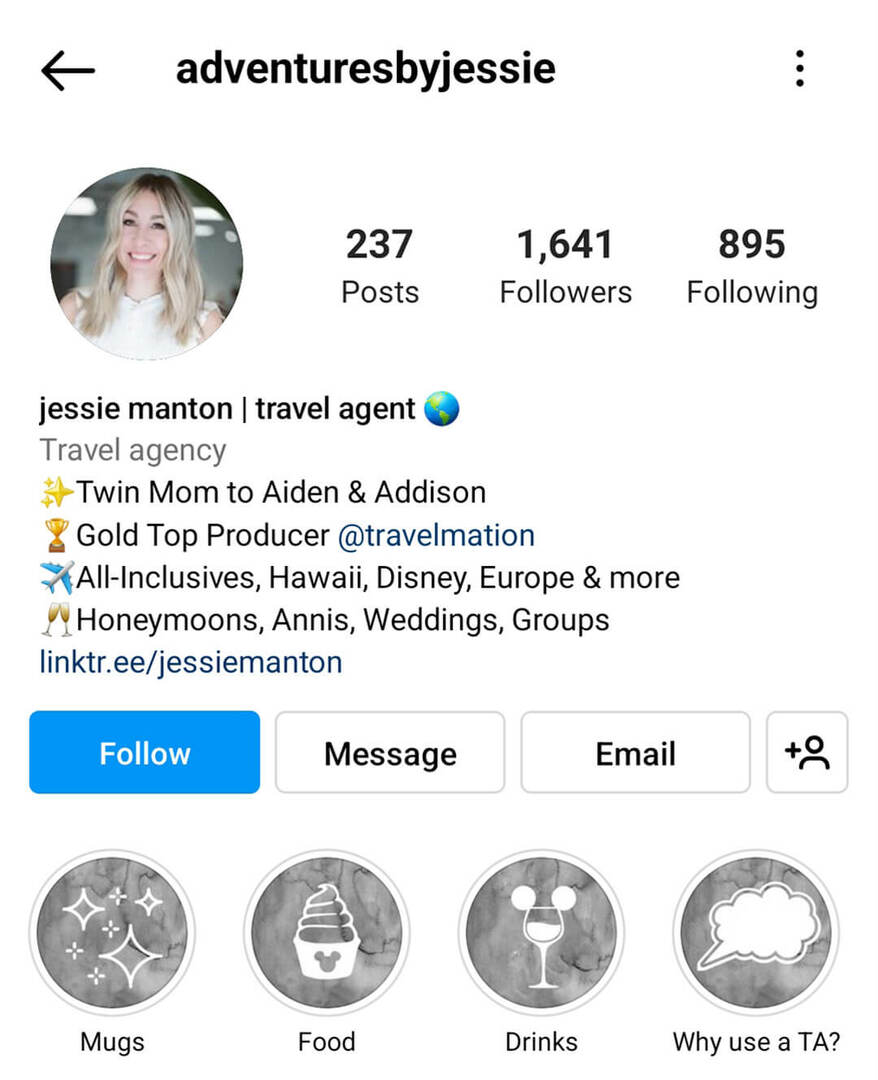 instagram-bio-adventuresbyjessie-primer-ime podjetja