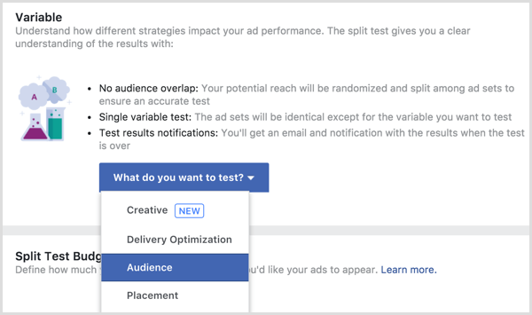 Testna spremenljivka razdelitve oglasov na Facebooku