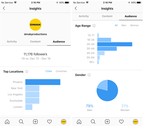 Primeri vpogledov v Instagram za račun DMAK Productions na zavihku Ciljna skupina.