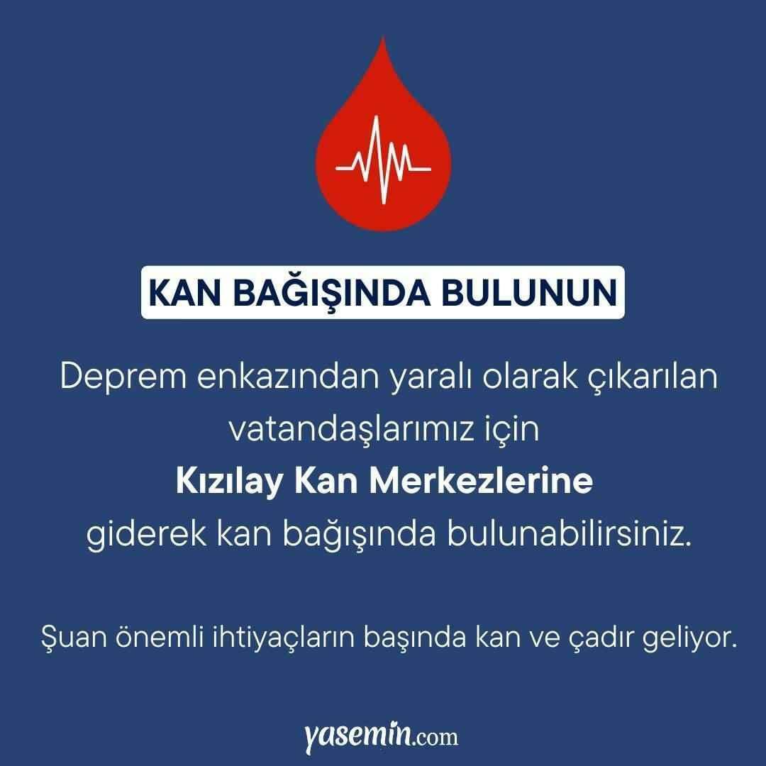 Kdaj je skupna oddaja Türkiye Single Heart, koliko je ura? Na katerih kanalih je noč pomoči ob potresu?