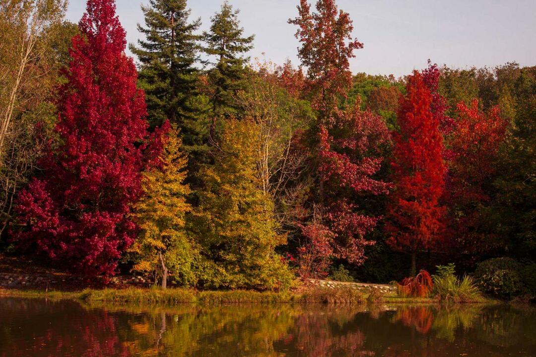 Arboretum Ataturk