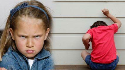 Kako se spopasti s problemom jeze pri otrocih? Vzrok jeze in agresije pri otrocih 
