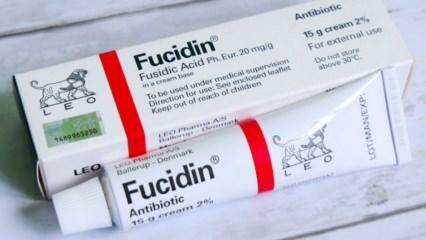 Kaj počne krema Fucidin? Kako uporabljati kremo Fucidin? Fucidin krema cena