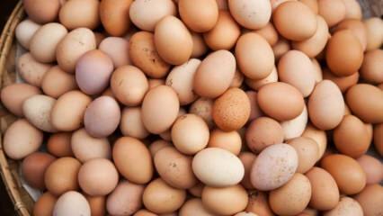 Kaj je treba upoštevati pri izbiri jajca?