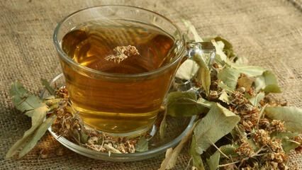 Kakšne so prednosti lipe? Katere bolezni so dobre? Kako narediti lipov čaj?
