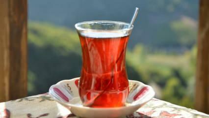 Kako lahko ugotovite, ali je čaj dobre kakovosti? Kako razumeti kakovost čaja