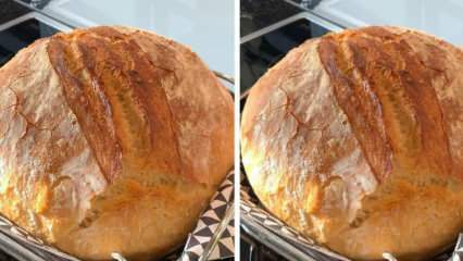 Kaj je vaški kruh? Hrustljav recept za vaški kruh od Nermina Yazici