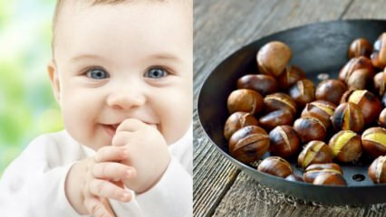 Saraçoğlu je razložil prednosti kostanja! Koliko mesecev dojenček lahko jedo kostanj? Ali kostanj naredi plin pri otroku?