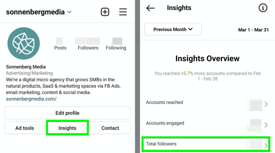 slika možnosti Instagram Insights Total Followers