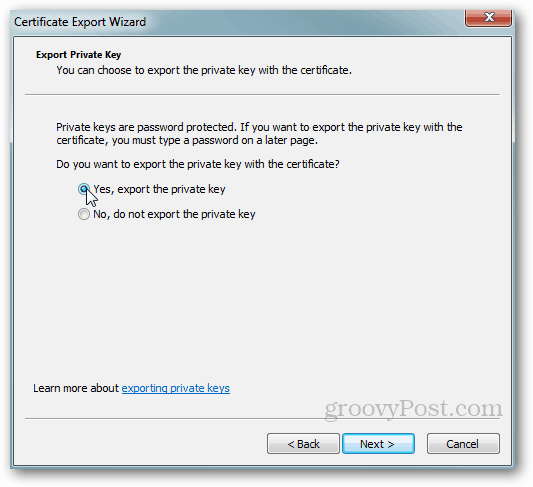 Izvoz certifikata Windows - zasebni ključ Da