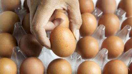 Praktični nasveti za ohranjanje svežih jajc
